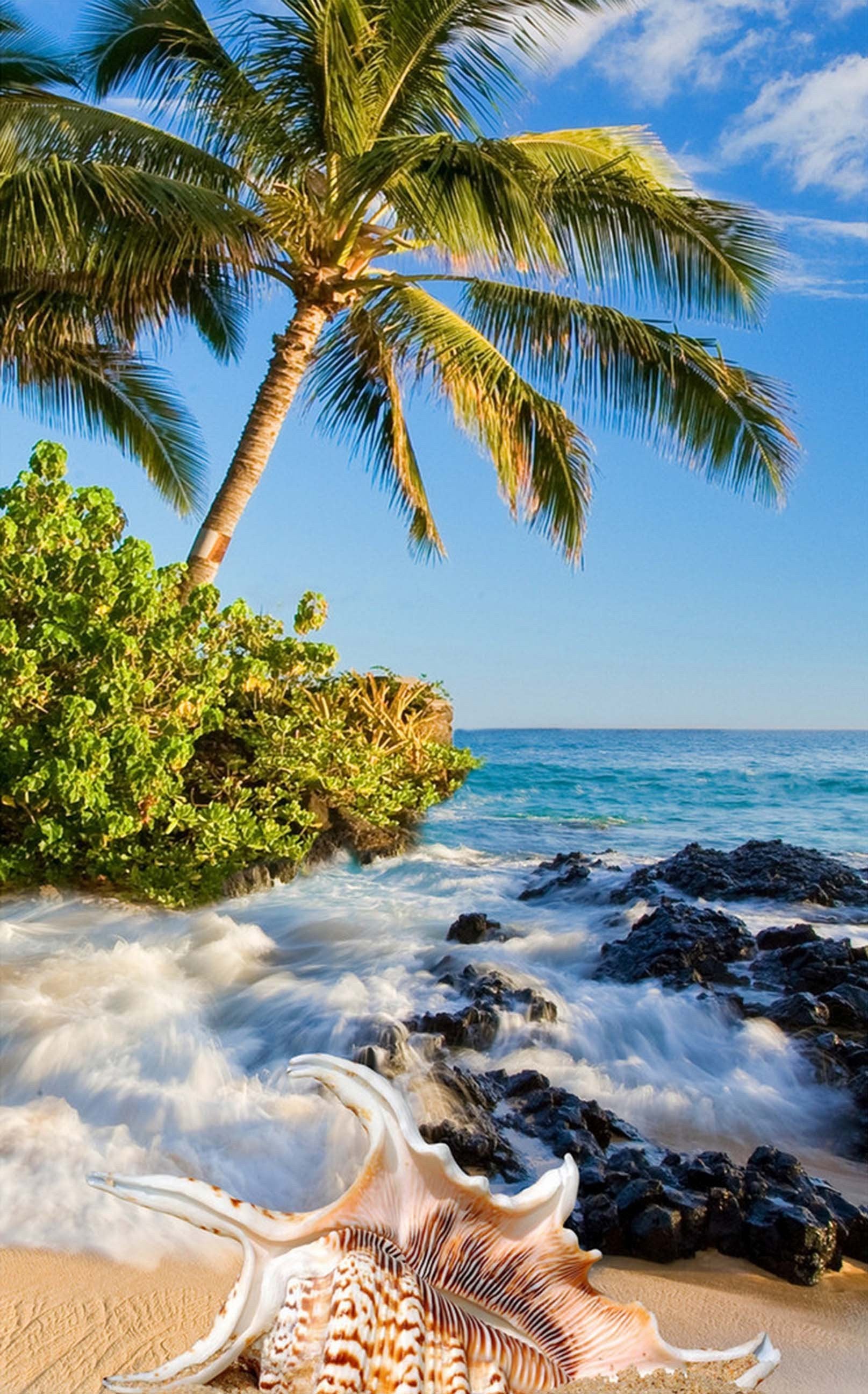 3D Seaside Tree Conch 1514 Stair Risers Wallpaper AJ Wallpaper