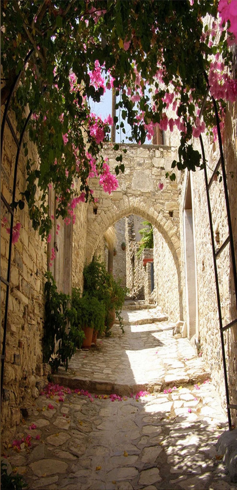 3D Passageway Flowers 85 Door Mural Wallpaper AJ Wallpaper