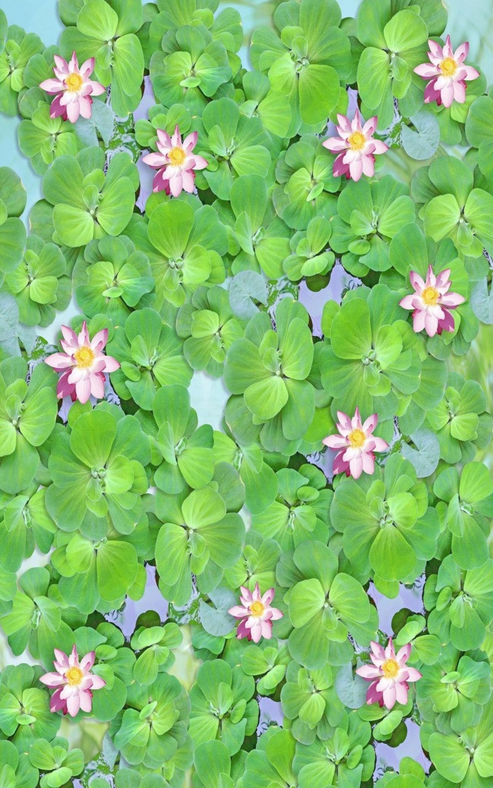 3D Lake Plants Flowers 433 Stair Risers Wallpaper AJ Wallpaper