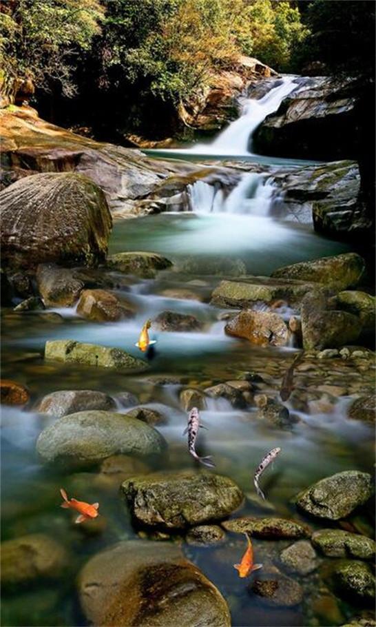 3D Stony River Fishes 401 Stair Risers Wallpaper AJ Wallpaper