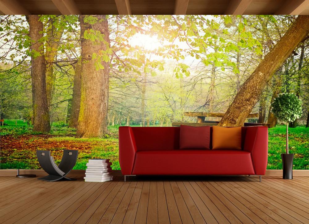 Quiet Forest Wallpaper AJ Wallpaper