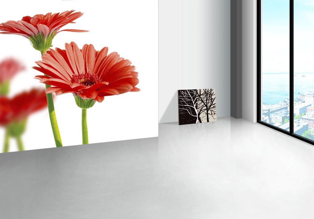 Red Chrysanthemums 1 Wallpaper AJ Wallpaper