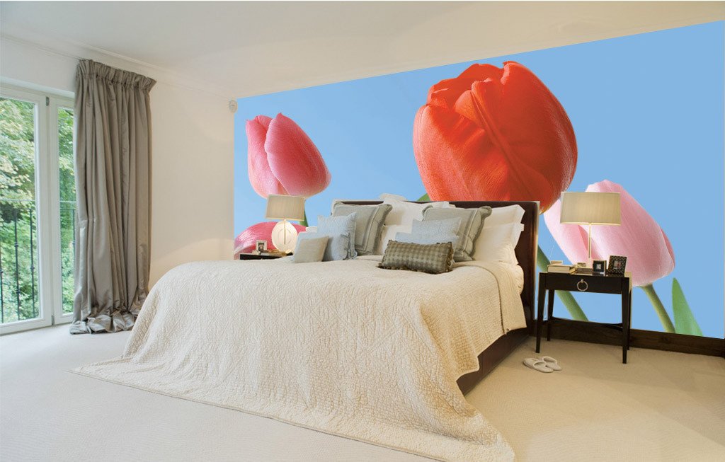 Fresh Tulips Wallpaper AJ Wallpaper