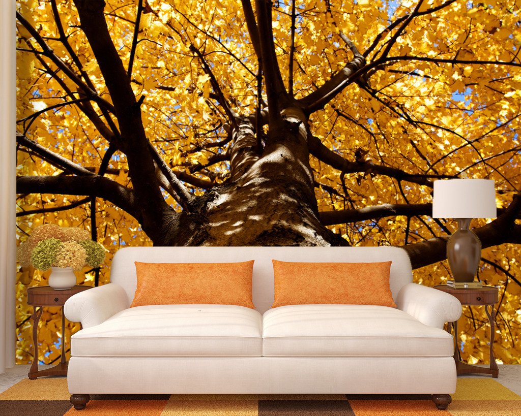 Big Tree 1 Wallpaper AJ Wallpaper