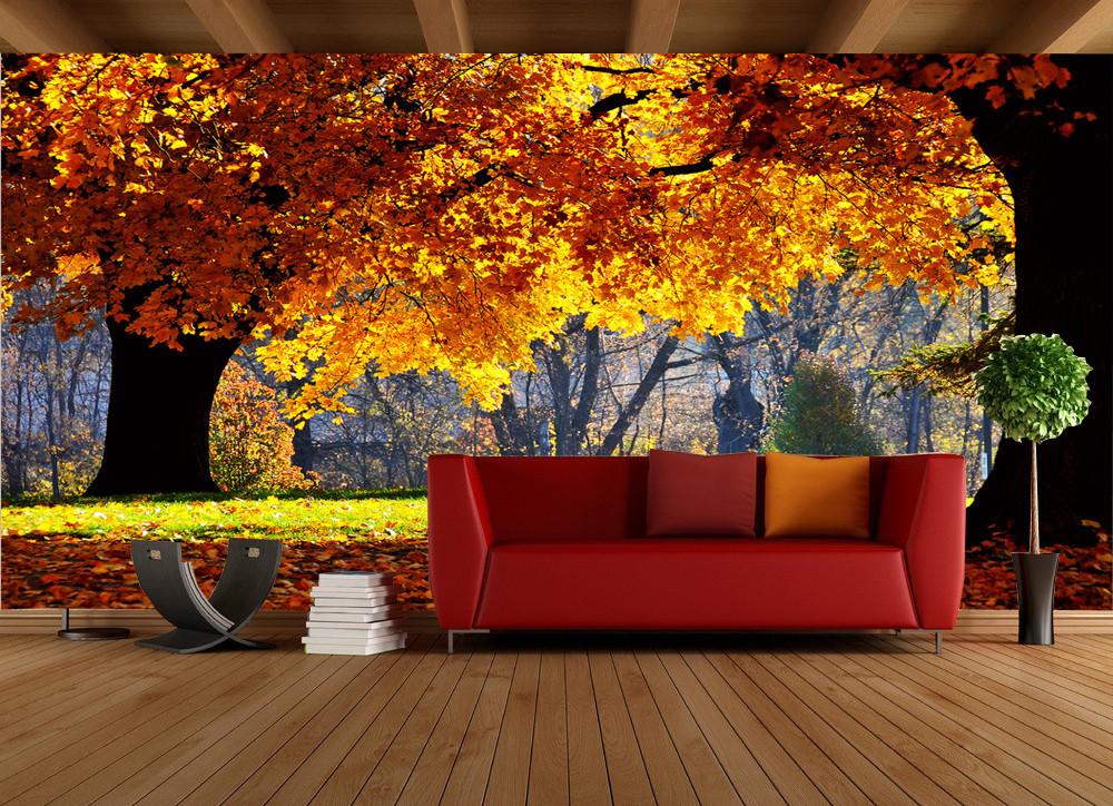 Beautiful Maple Trees 3 Wallpaper AJ Wallpaper