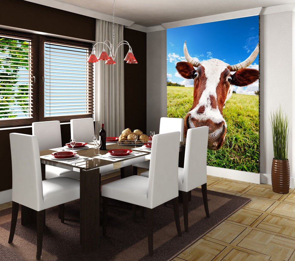 Funny Cattle Wallpaper AJ Wallpaper