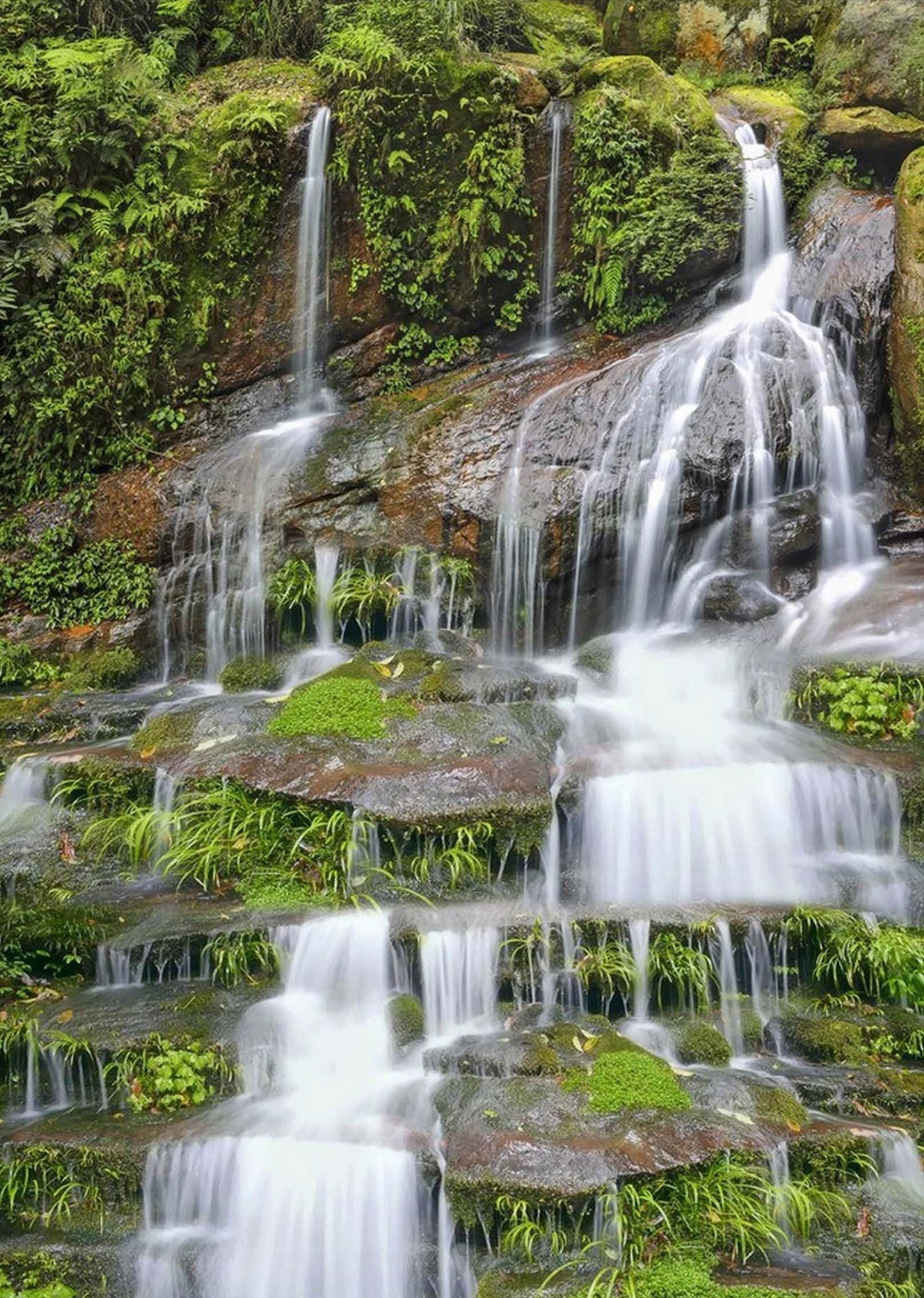 3D Rocks Spring Creeks 428 Stair Risers Wallpaper AJ Wallpaper