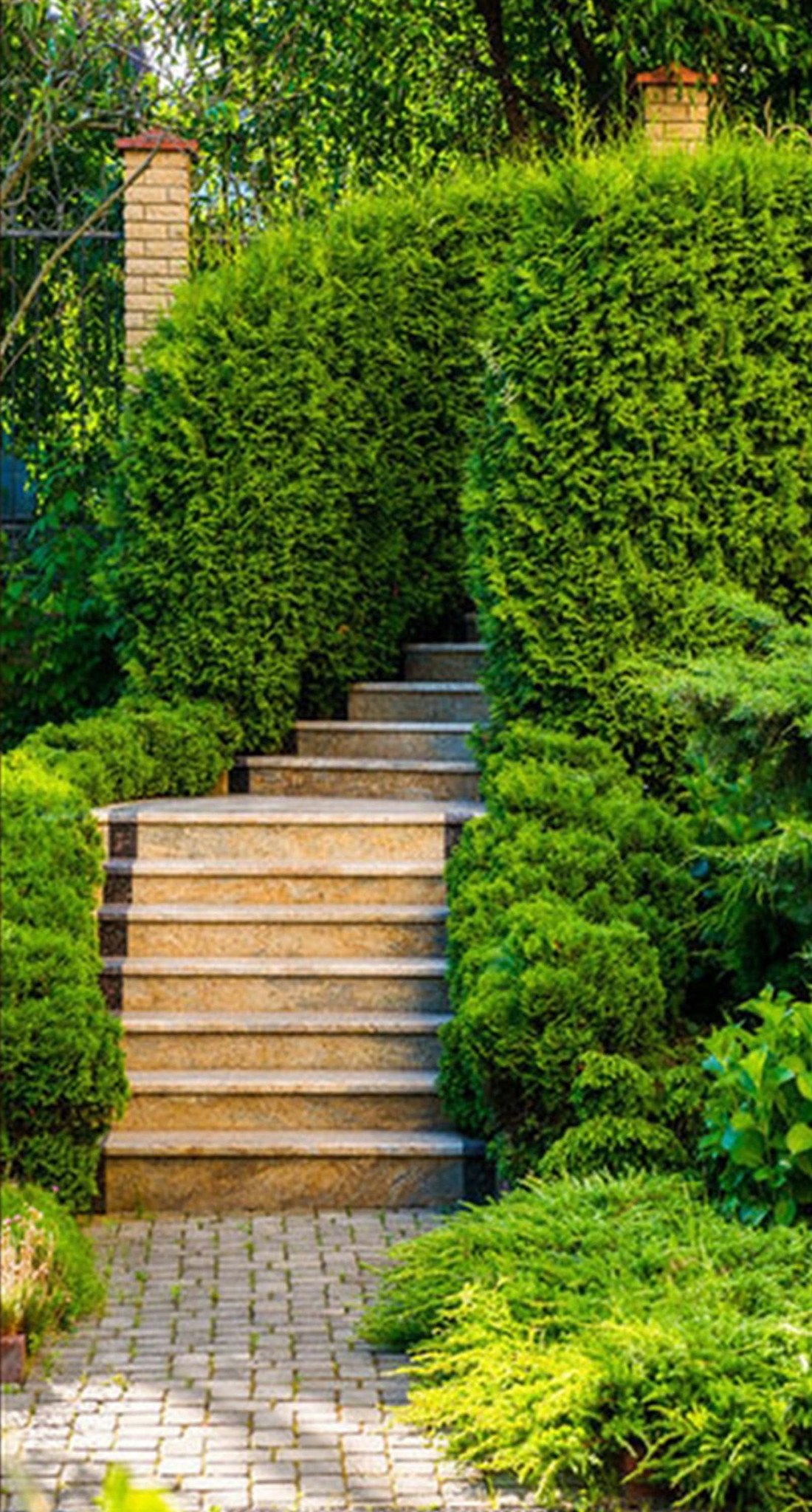 3D Stairs Green Plants 90 Door Mural Wallpaper AJ Wallpaper