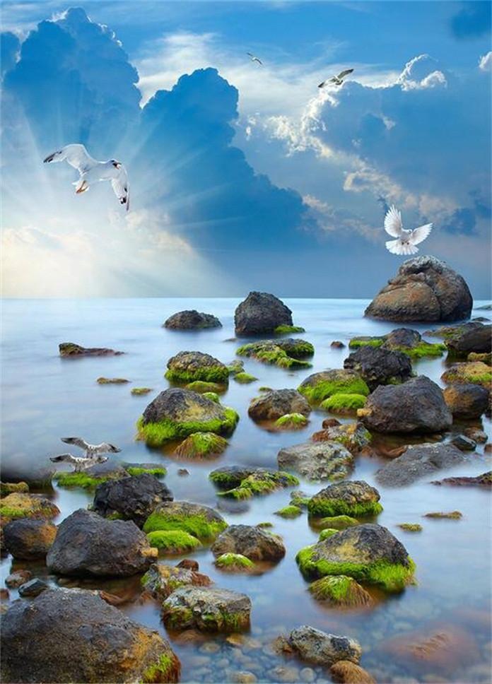3D Sea Stones And Birds 71 Stair Risers Wallpaper AJ Wallpaper