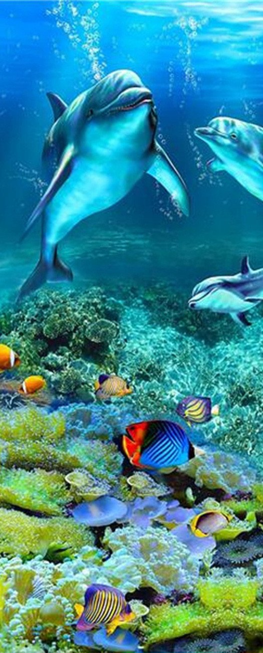 3D dolphins in the underwater world door mural Wallpaper AJ Wallpaper