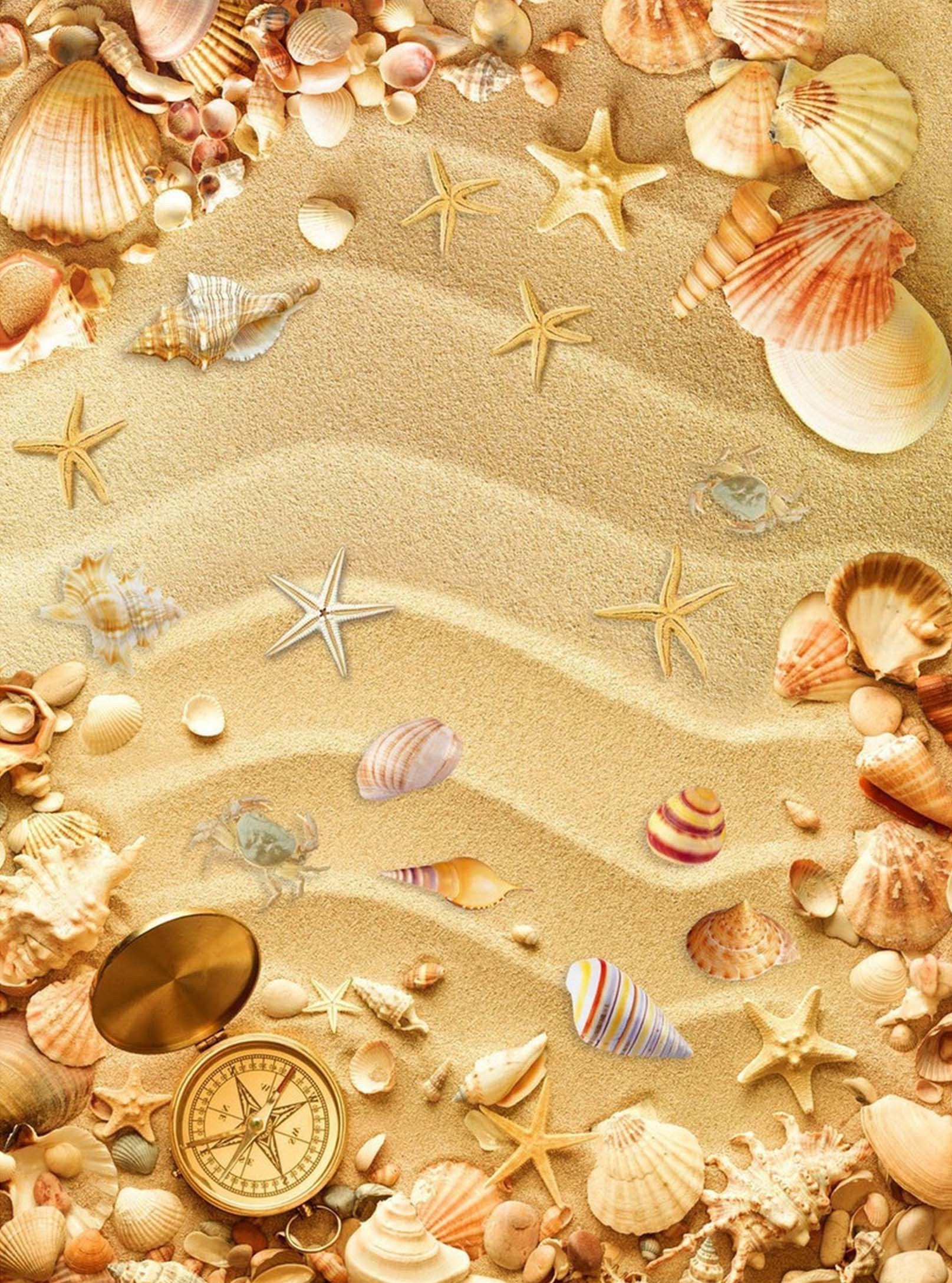 3D Beach Treasures Compass 425 Stair Risers Wallpaper AJ Wallpaper