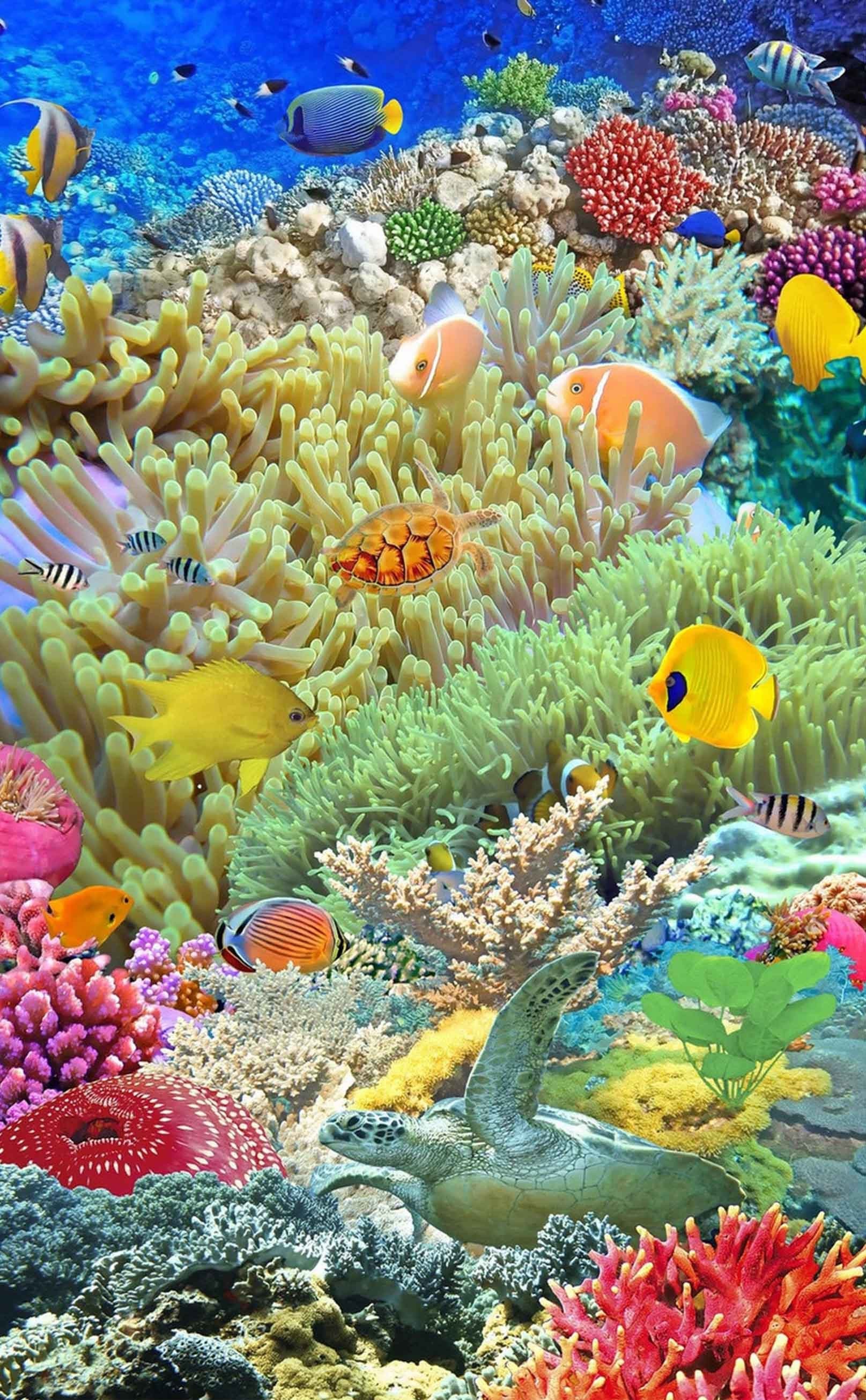 3D Seabed Corals Fishes 424 Stair Risers Wallpaper AJ Wallpaper