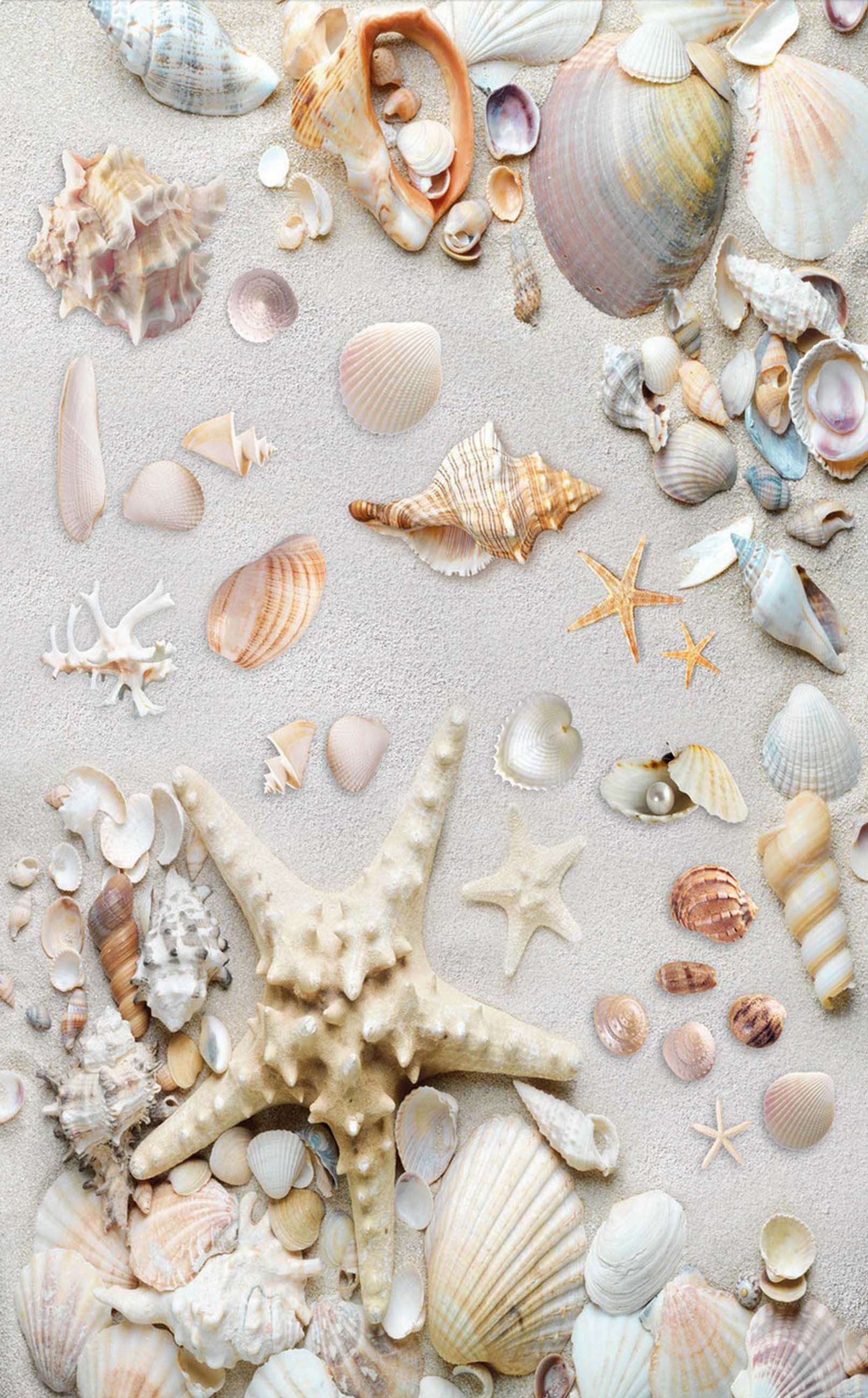 3D Beach Treasures 427 Stair Risers Wallpaper AJ Wallpaper
