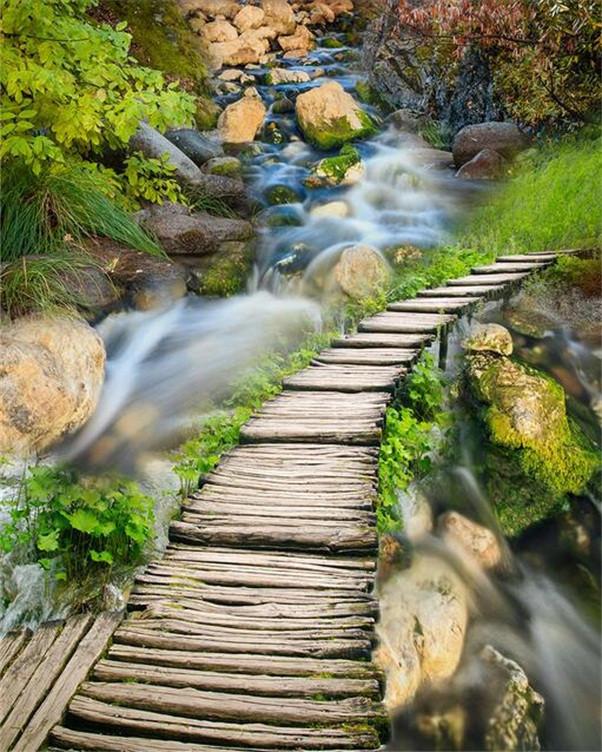 3D River Wood Bridge 789 Stair Risers Wallpaper AJ Wallpaper