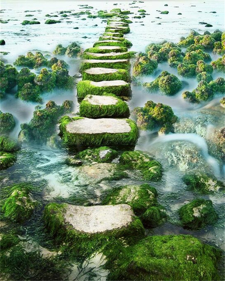 3D Seaside Stones Road 589 Stair Risers Wallpaper AJ Wallpaper