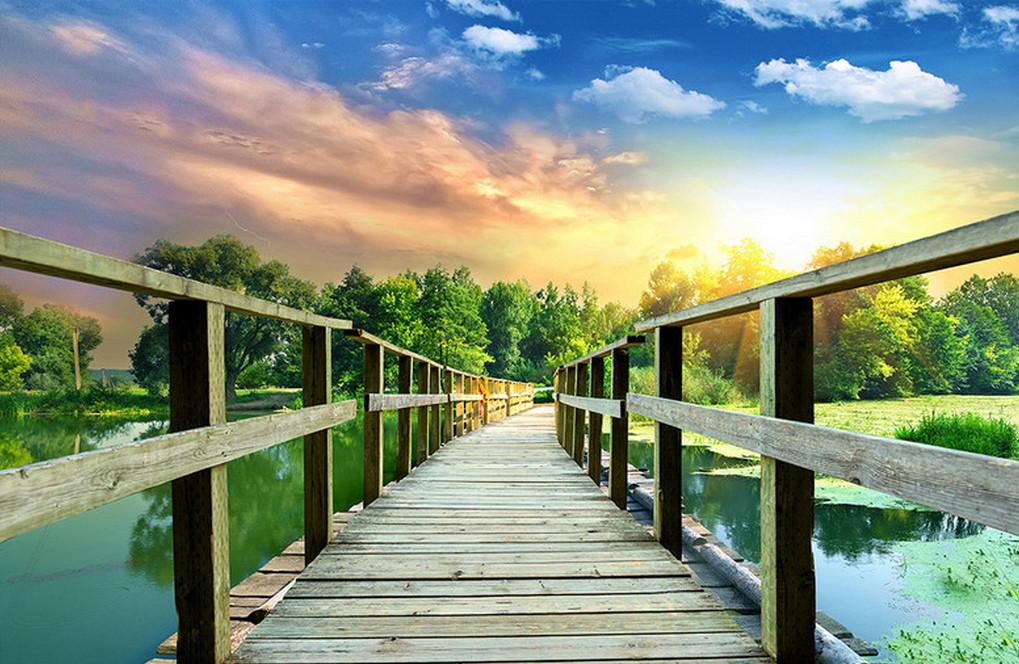 3D Lake Wood Bridge 315 Garage Door Mural Wallpaper AJ Wallpaper