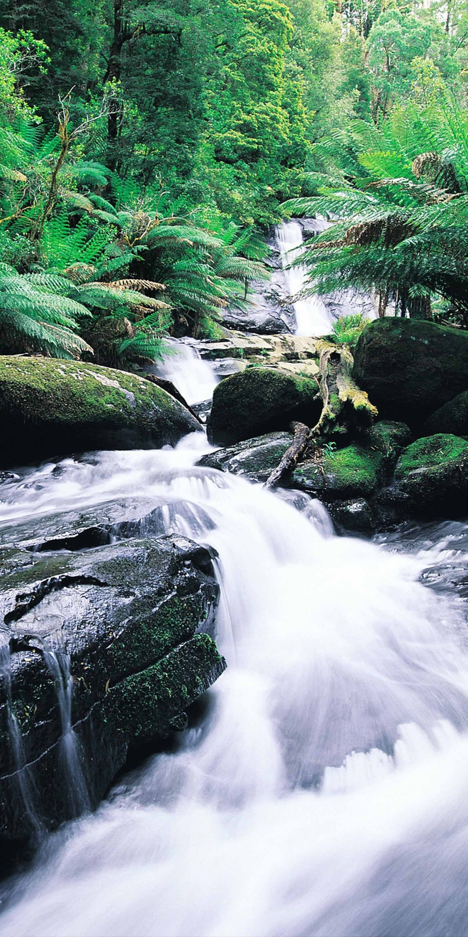 3D Green Forest Creek 1622 Stair Risers Wallpaper AJ Wallpaper