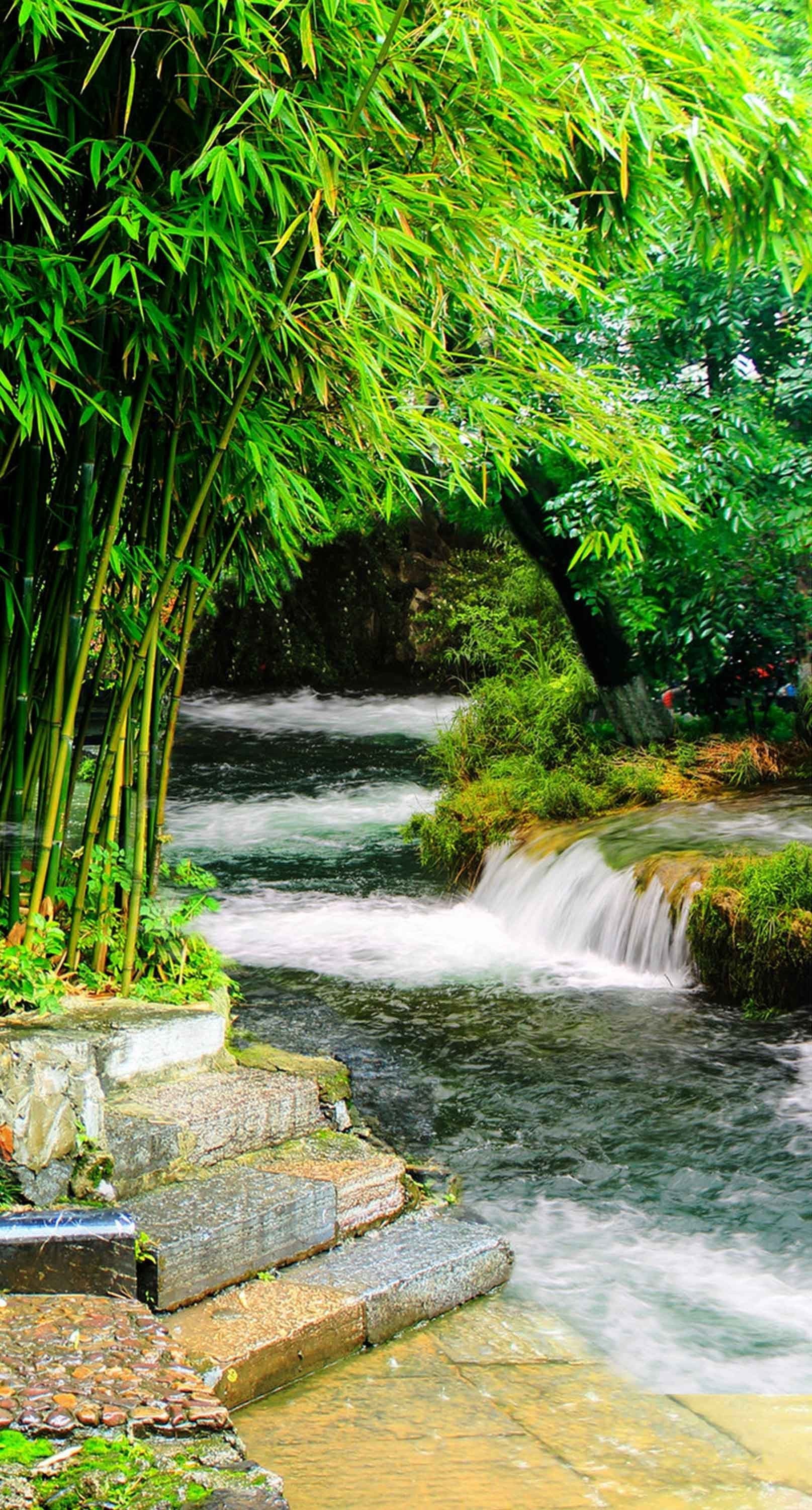 3D Riverside Bamboos 1536 Stair Risers Wallpaper AJ Wallpaper