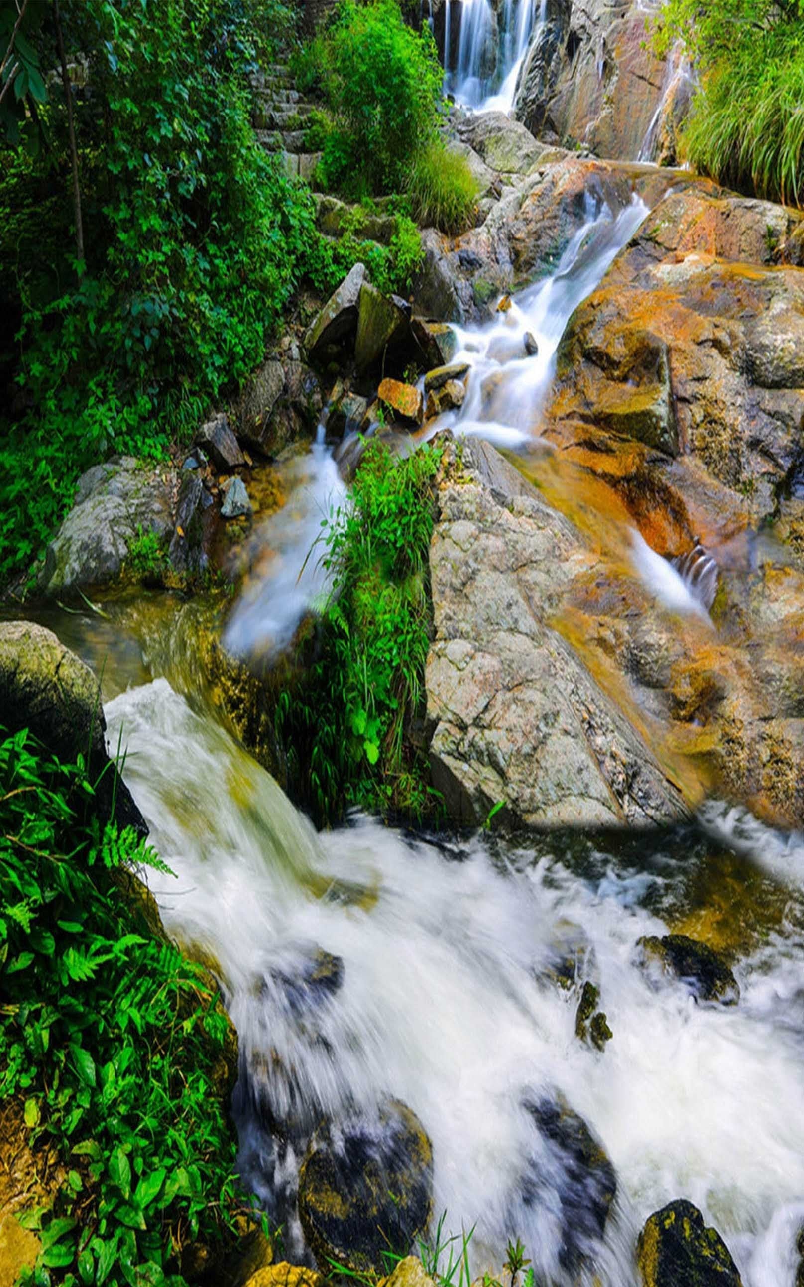 3D Beautiful Creek 1621 Stair Risers Wallpaper AJ Wallpaper