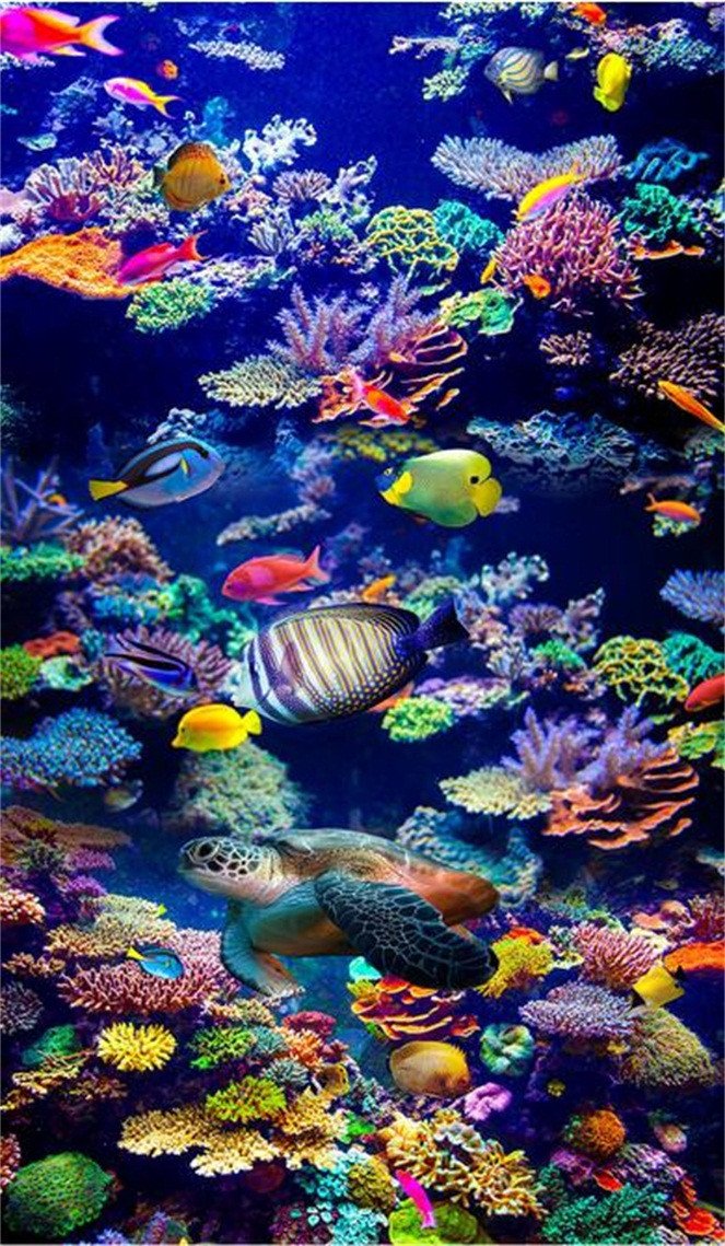 3D Colorful Ocean World 787 Stair Risers Wallpaper AJ Wallpaper
