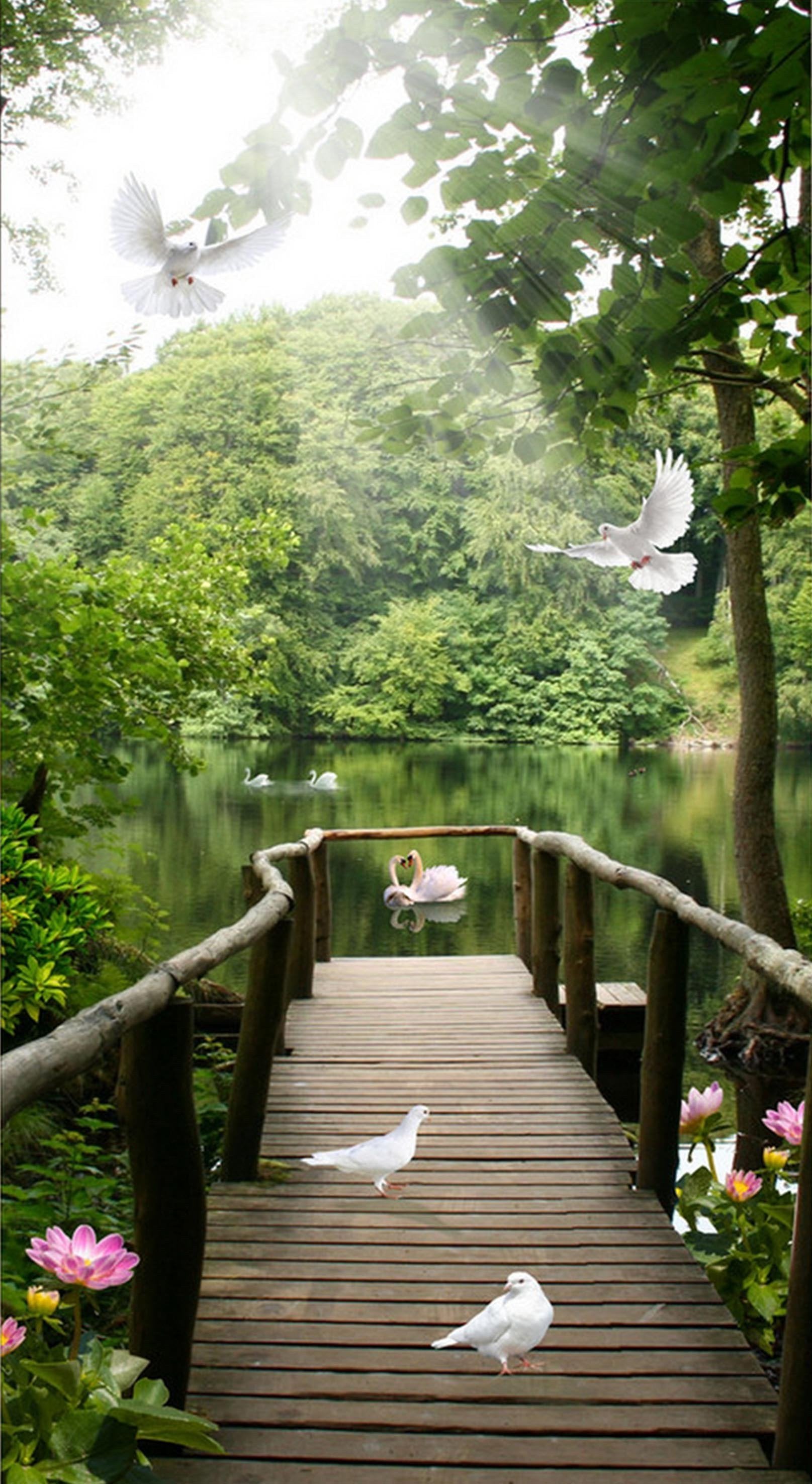 3D Lakeside Bridge Birds 1632 Stair Risers Wallpaper AJ Wallpaper