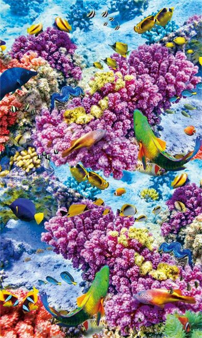 3D Colorful Seabed 784 Stair Risers Wallpaper AJ Wallpaper