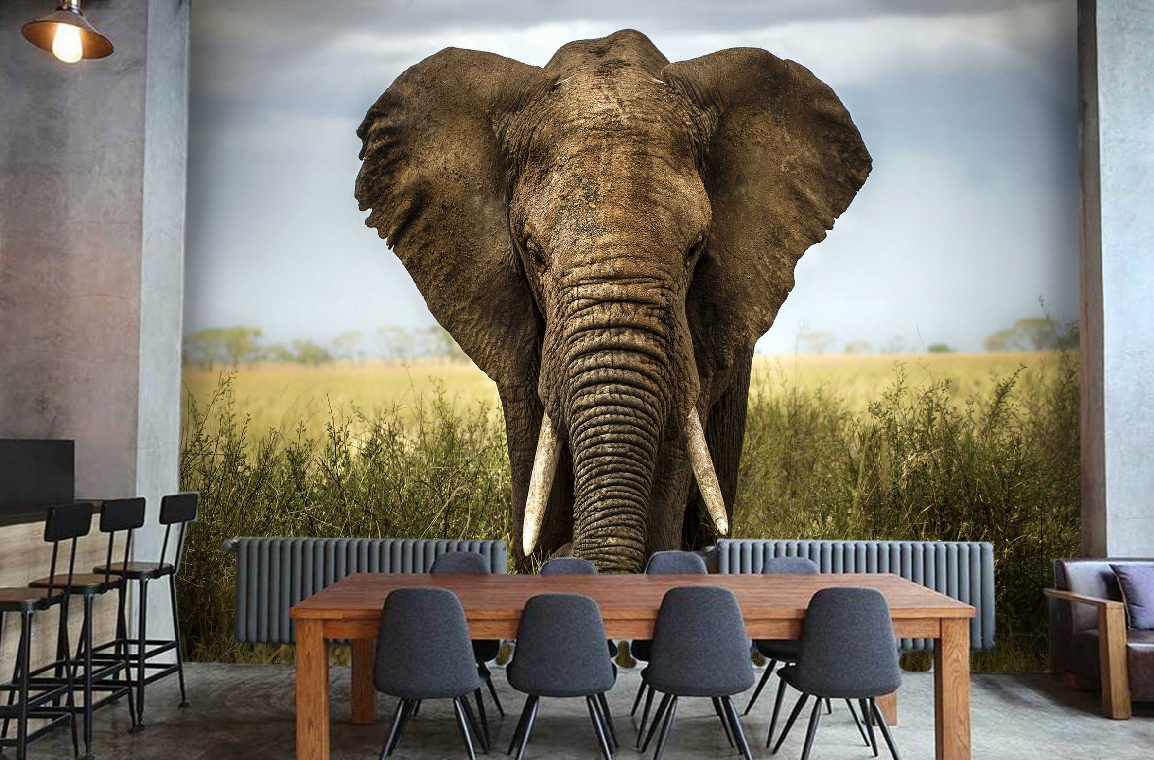 3D Steppe Elephant 1071 Wall Murals