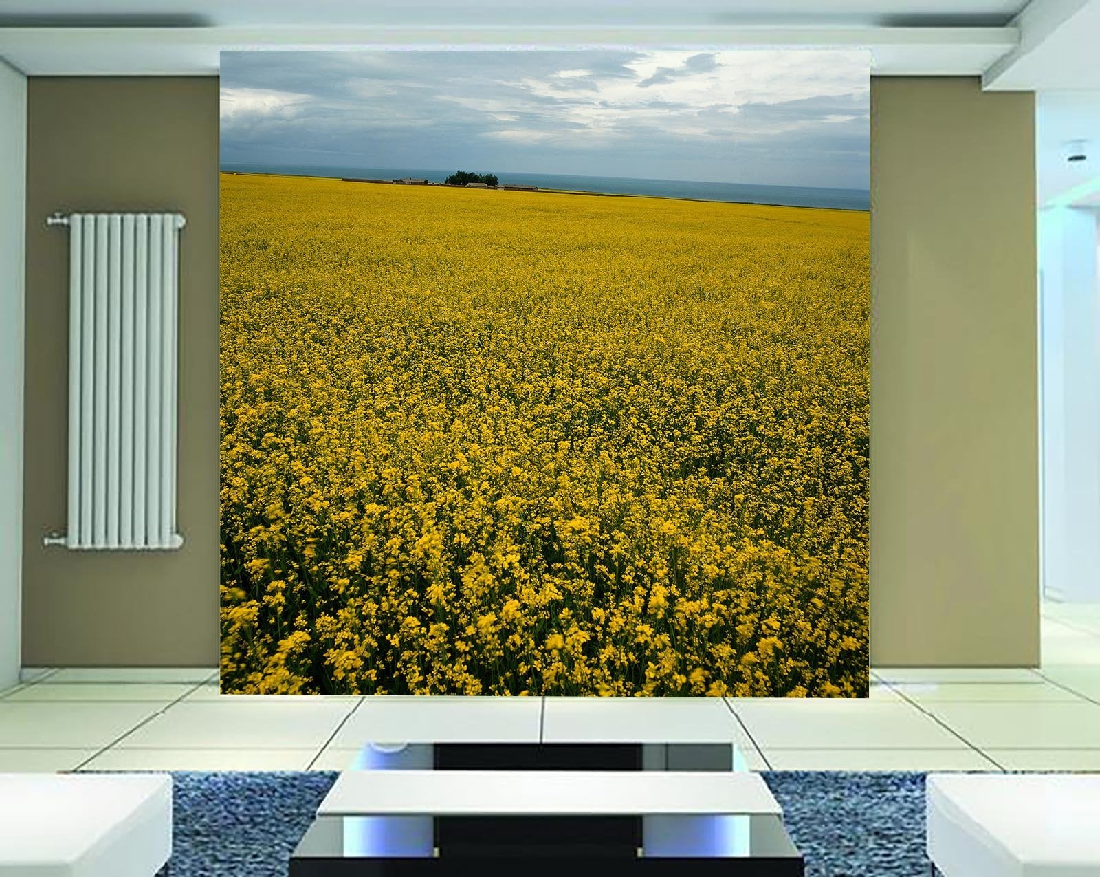 Rape Flower Fields 6 Wallpaper AJ Wallpaper
