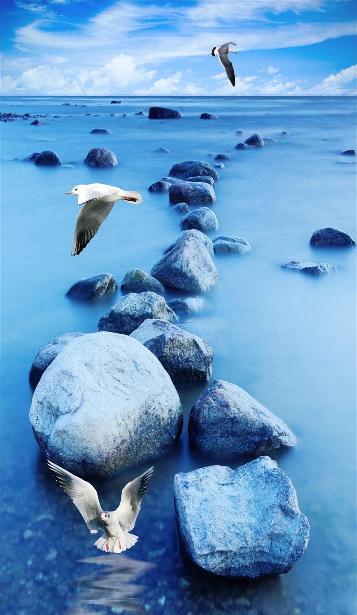 3D Sea Stones And Seagulls 680 Stair Risers Wallpaper AJ Wallpaper