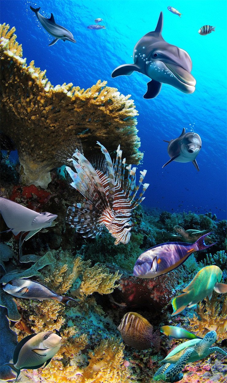 3D Pretty Ocean World 579 Stair Risers Wallpaper AJ Wallpaper