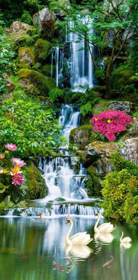 3D Creek Swans 1530 Stair Risers Wallpaper AJ Wallpaper