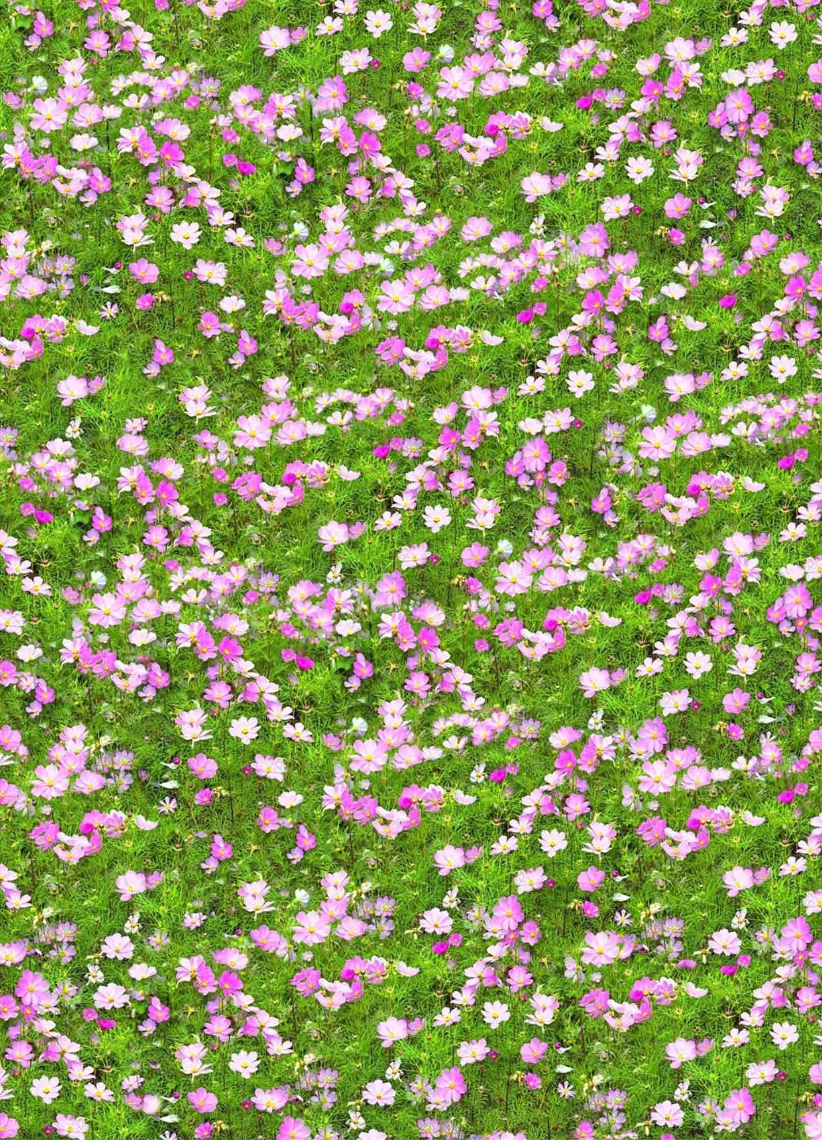 3D Grassland Flowers 418 Stair Risers Wallpaper AJ Wallpaper