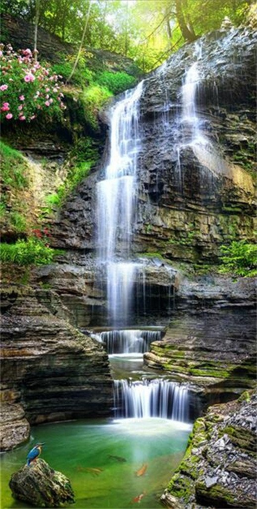 3D Mountain Stream 578 Stair Risers Wallpaper AJ Wallpaper