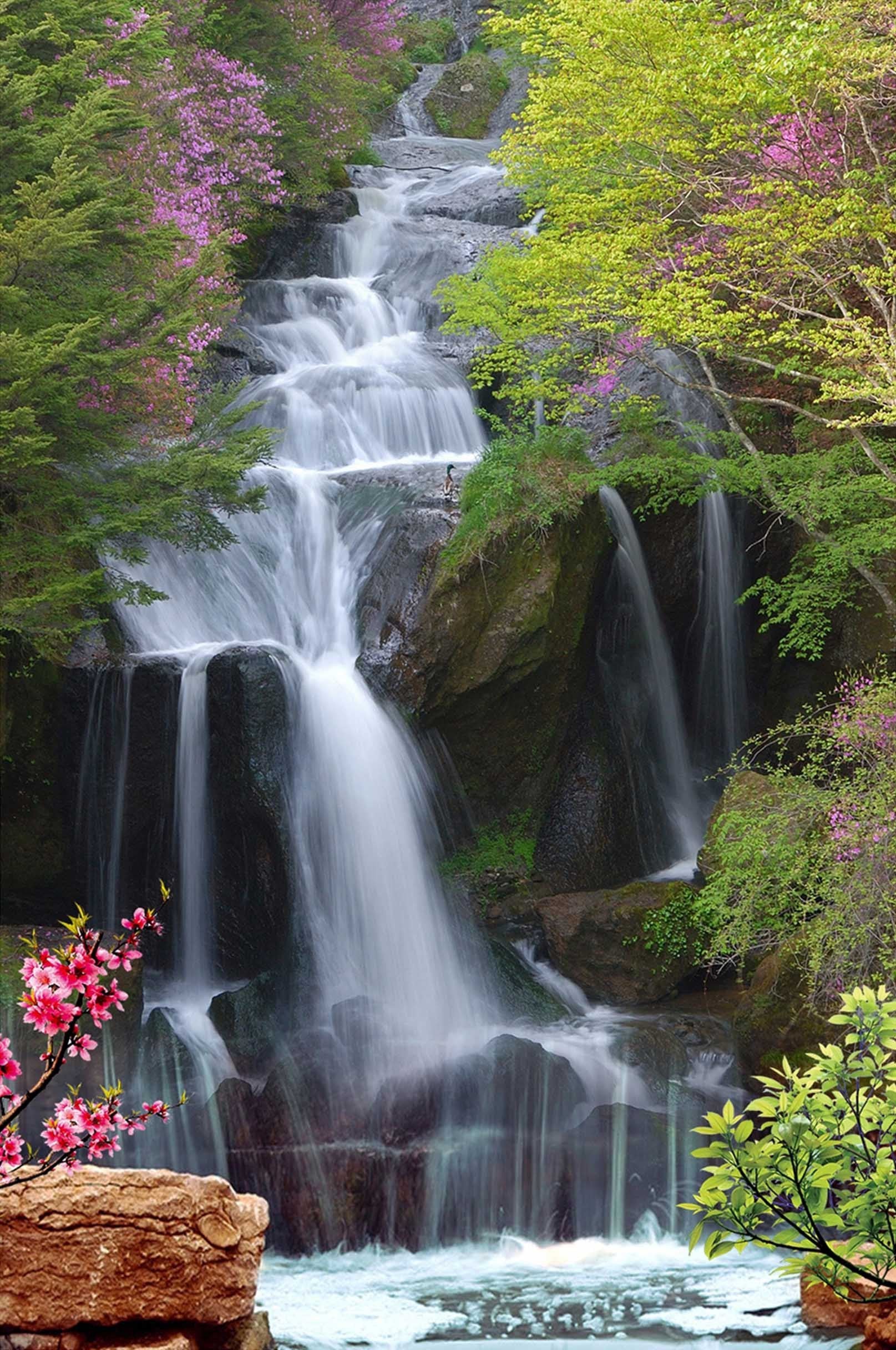 3D Creek Flowers 1629 Stair Risers Wallpaper AJ Wallpaper