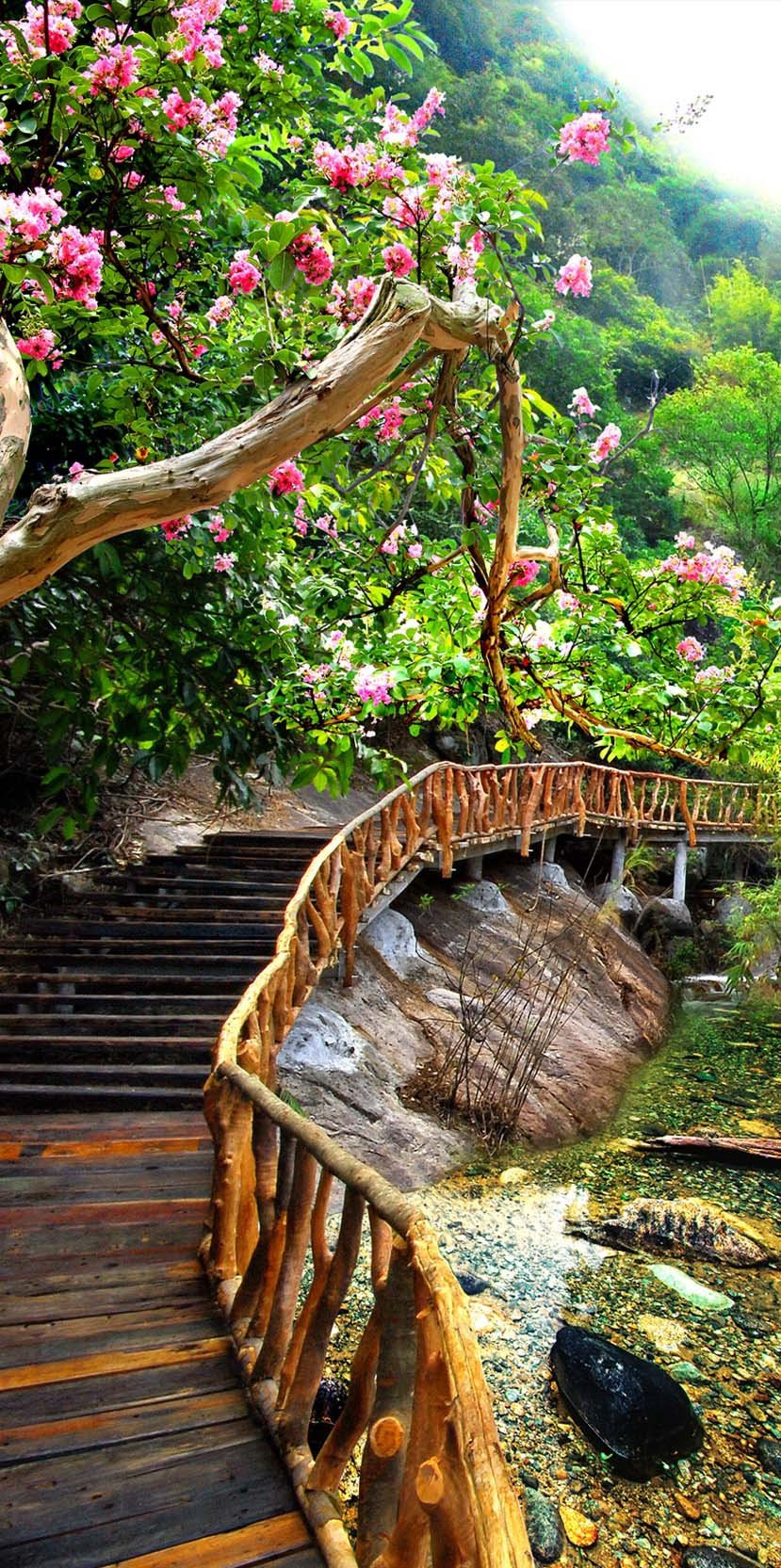 3D plank bridge a blooming tree door mural Wallpaper AJ Wallpaper