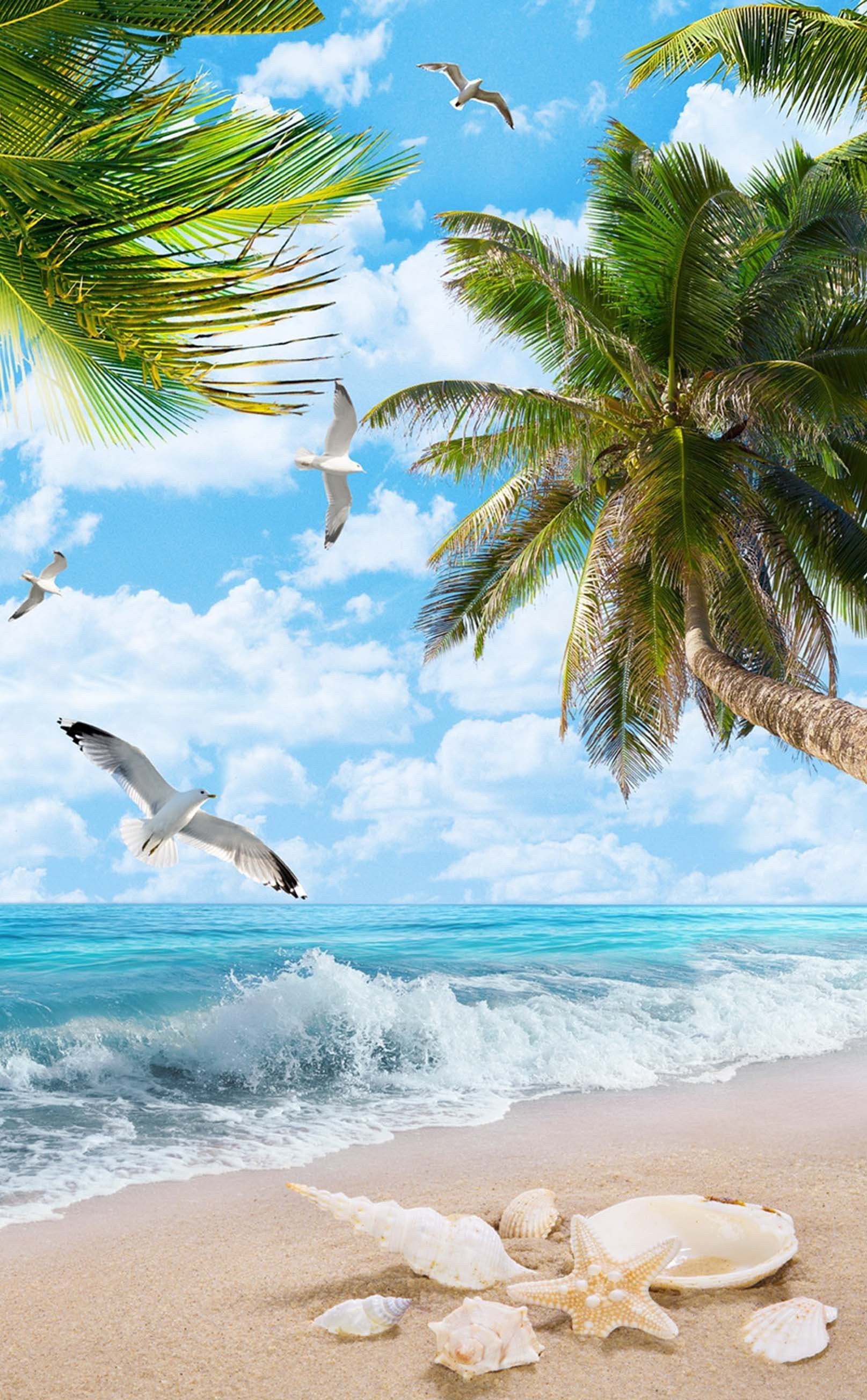 3D Sea Beach Seagulls 1518 Stair Risers Wallpaper AJ Wallpaper