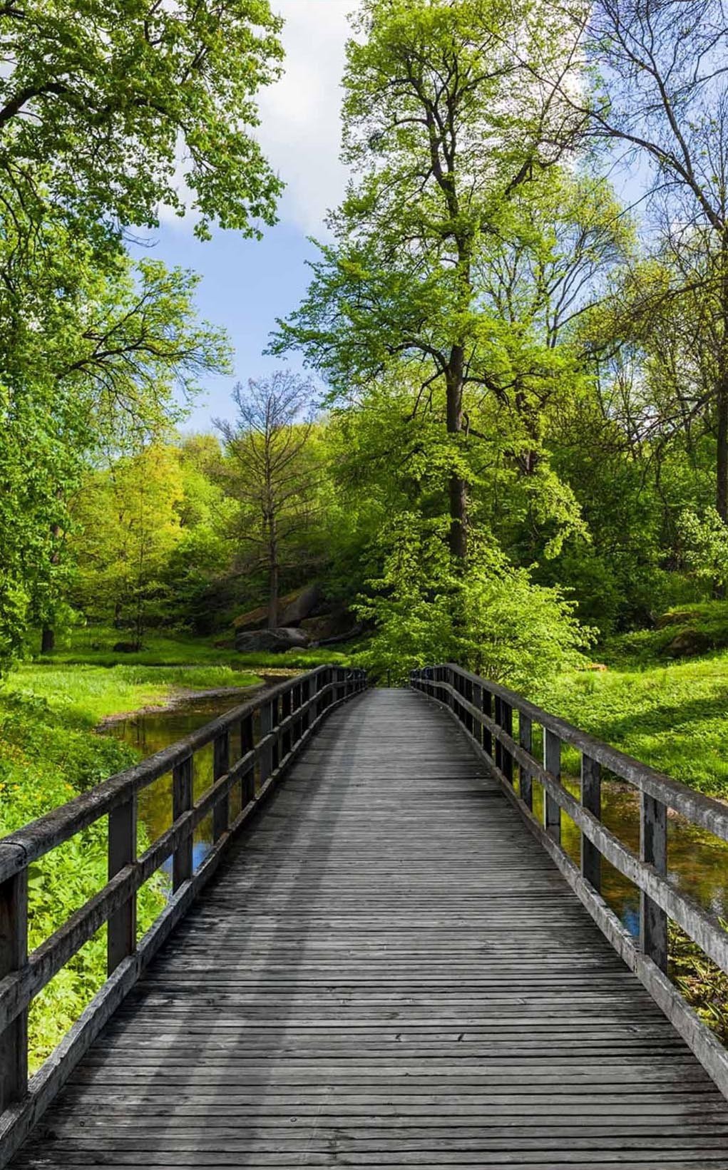 3D wooden bridge rivers door mural Wallpaper AJ Wallpaper