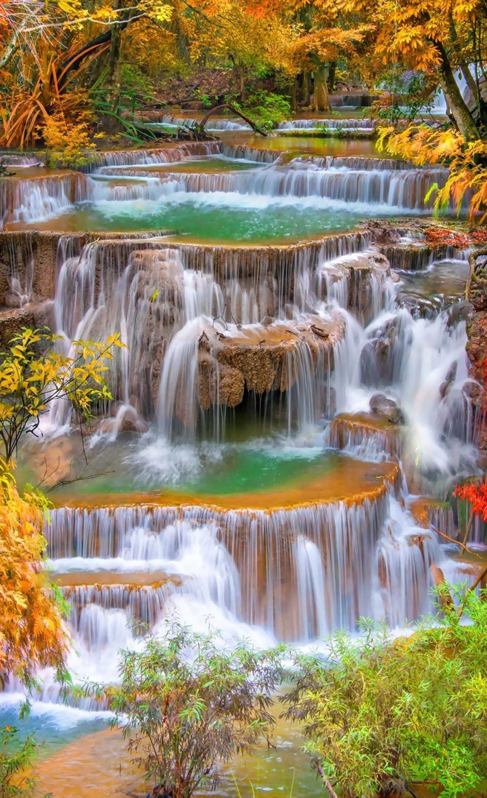 3D River Waterfalls Scenery 423 Stair Risers Wallpaper AJ Wallpaper