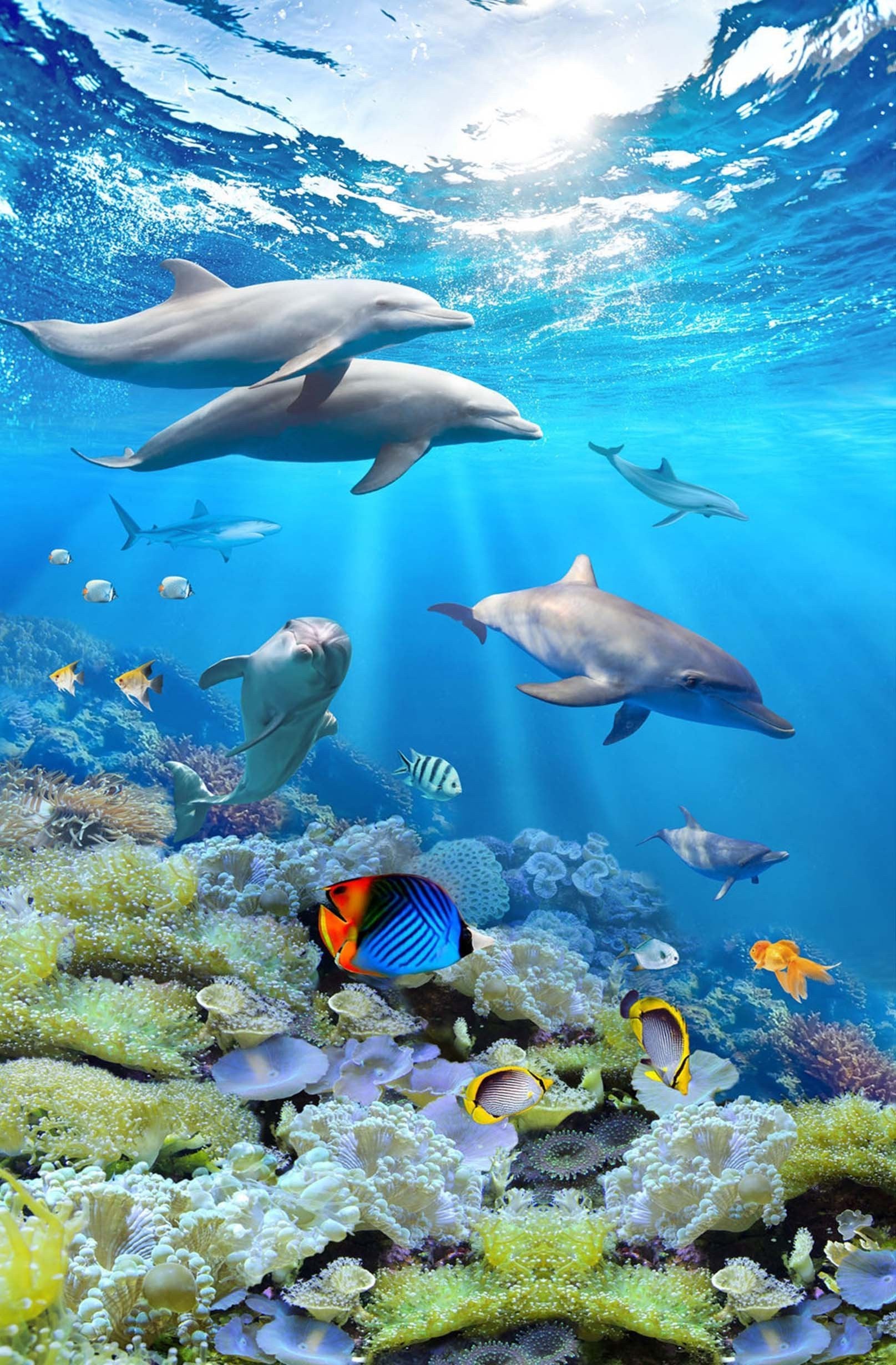 3D Pretty Seabed Dolphins 1410 Stair Risers Wallpaper AJ Wallpaper