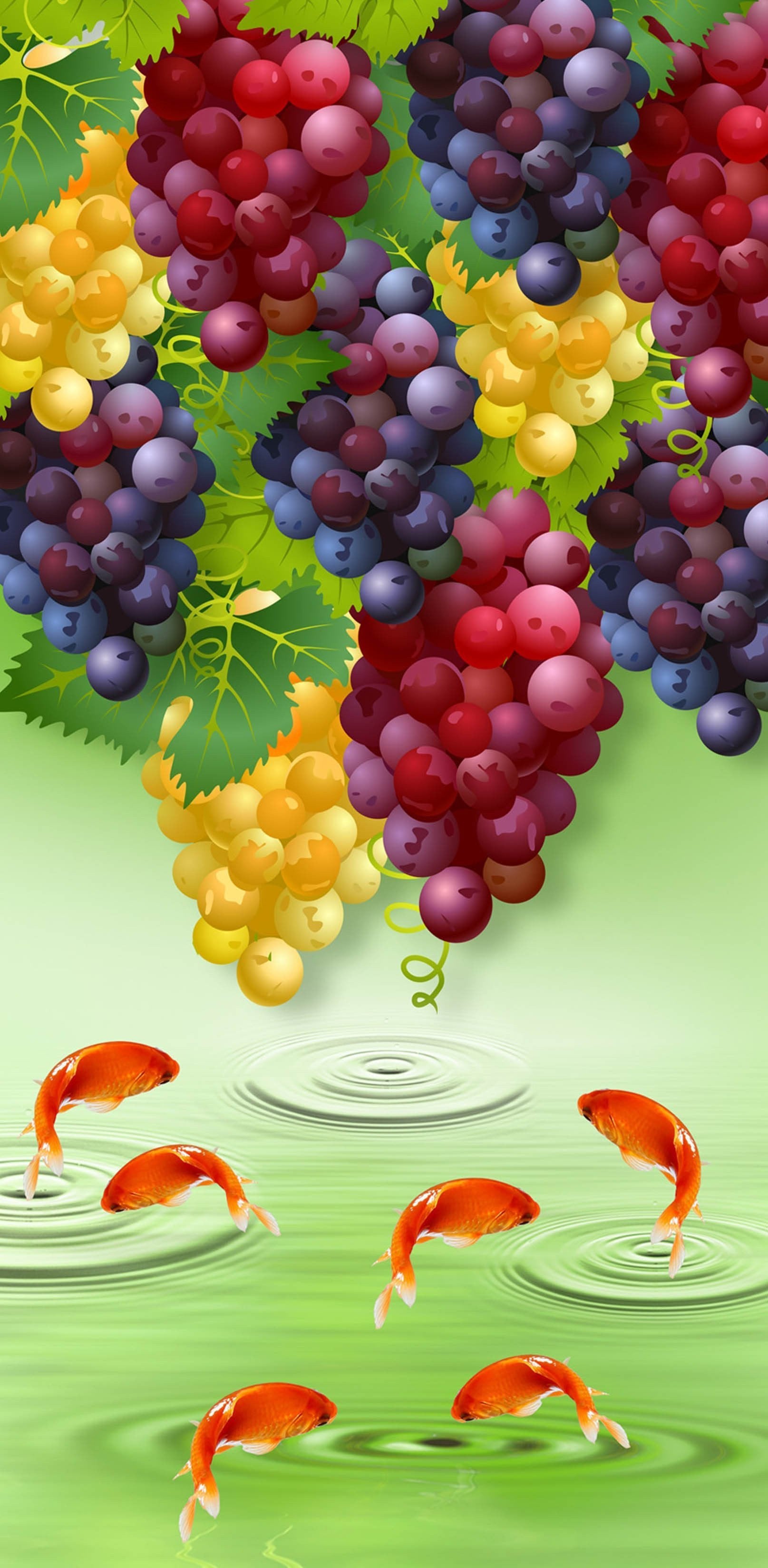 3D Color Grapes Fishes 1515 Stair Risers Wallpaper AJ Wallpaper