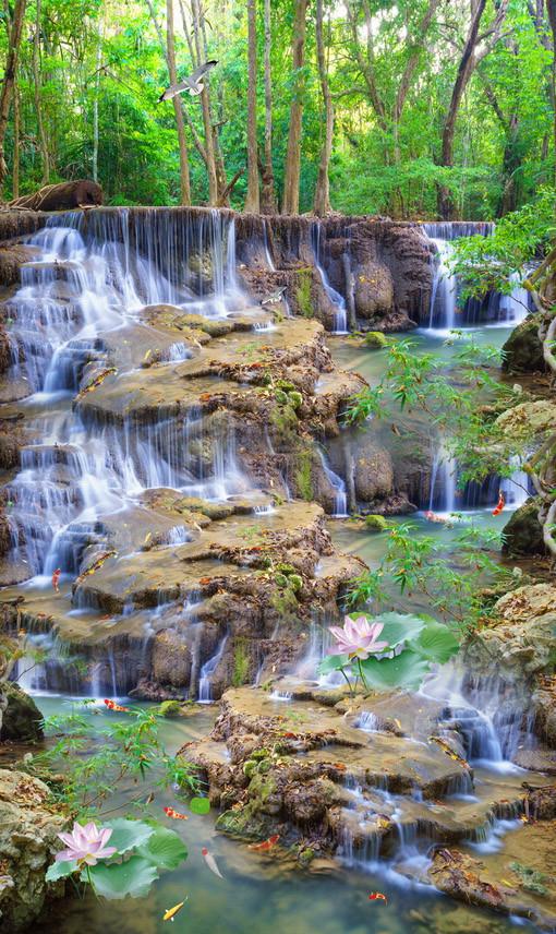 3D Forest Rocks Streams 671 Stair Risers Wallpaper AJ Wallpaper