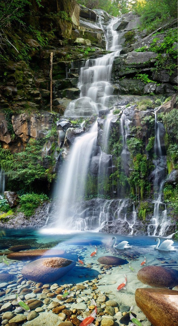 3D Creek Swans Fishes 1626 Stair Risers Wallpaper AJ Wallpaper