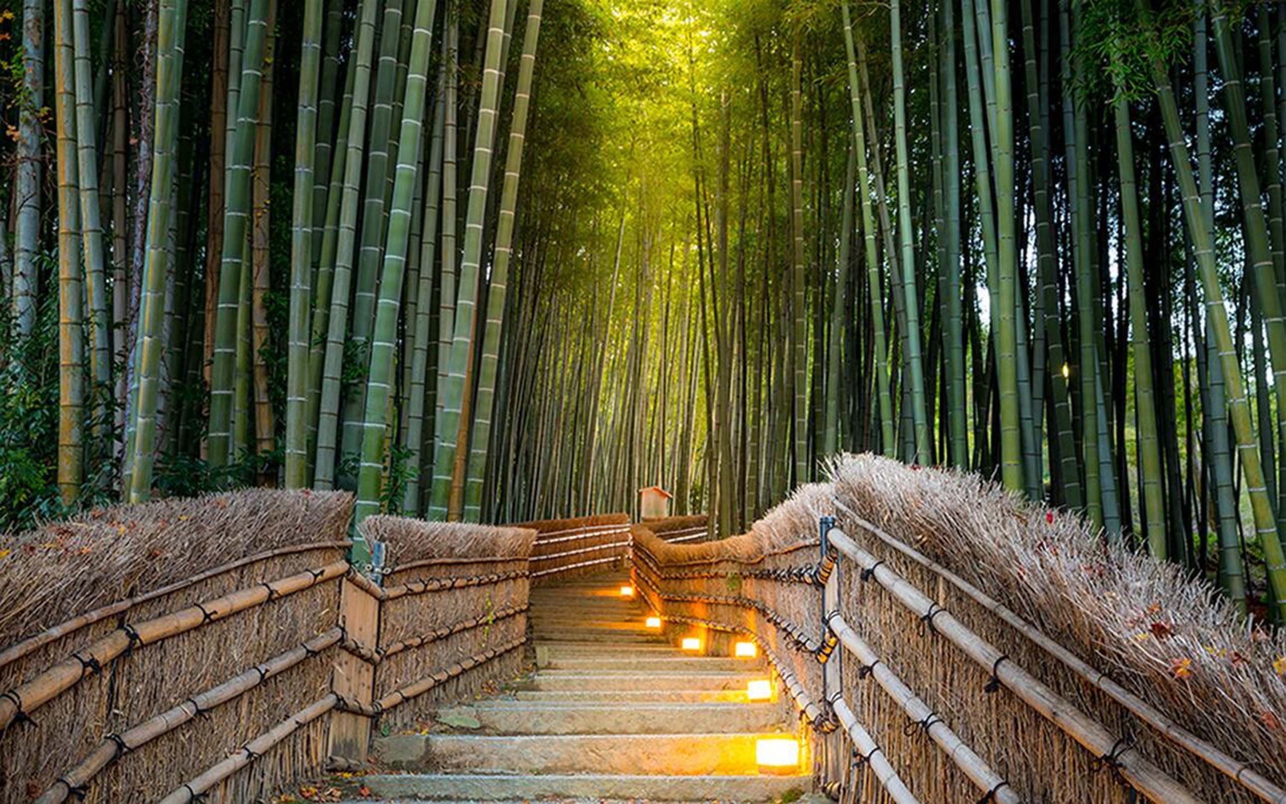 3D Bamboo Forest Stairs 378 Garage Door Mural Wallpaper AJ Wallpaper
