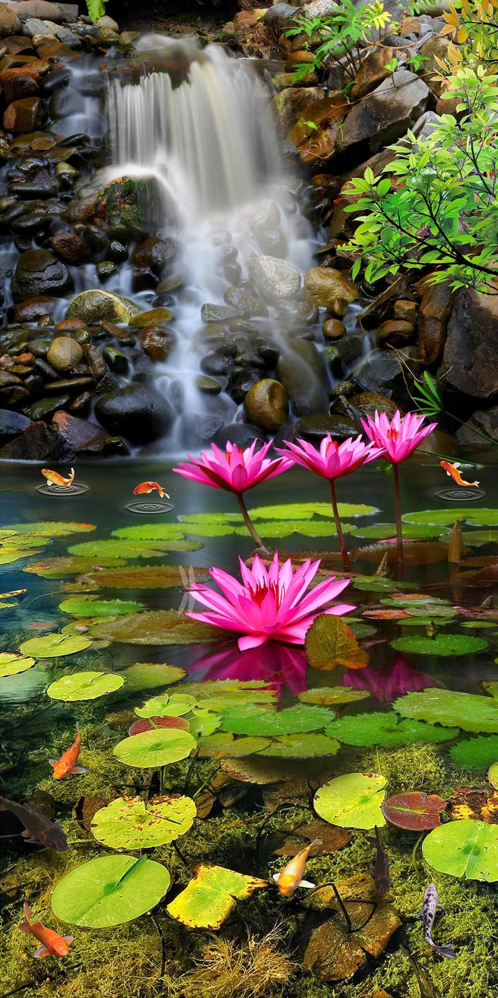 3D Beautiful Water Lily 1604 Stair Risers Wallpaper AJ Wallpaper