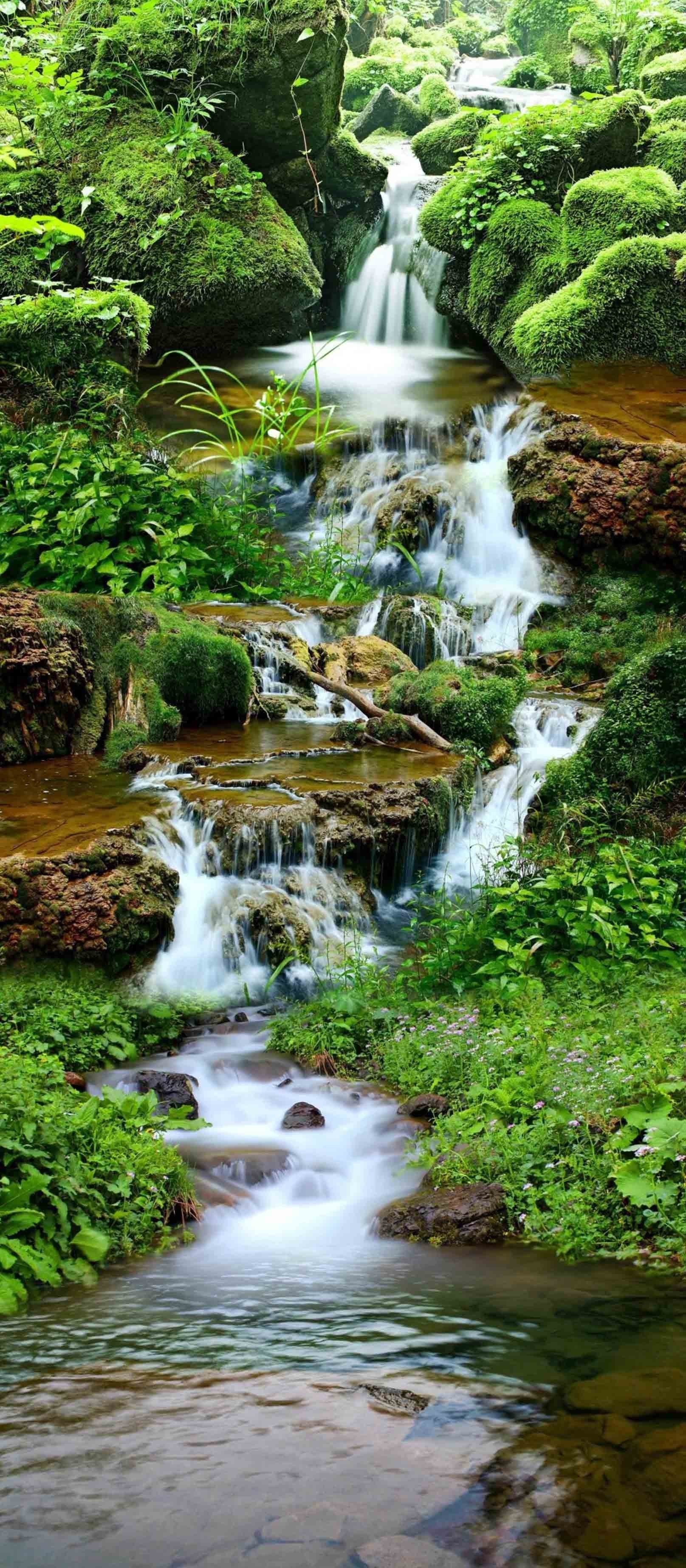 3D Creek Mosses Stones 1356 Stair Risers Wallpaper AJ Wallpaper