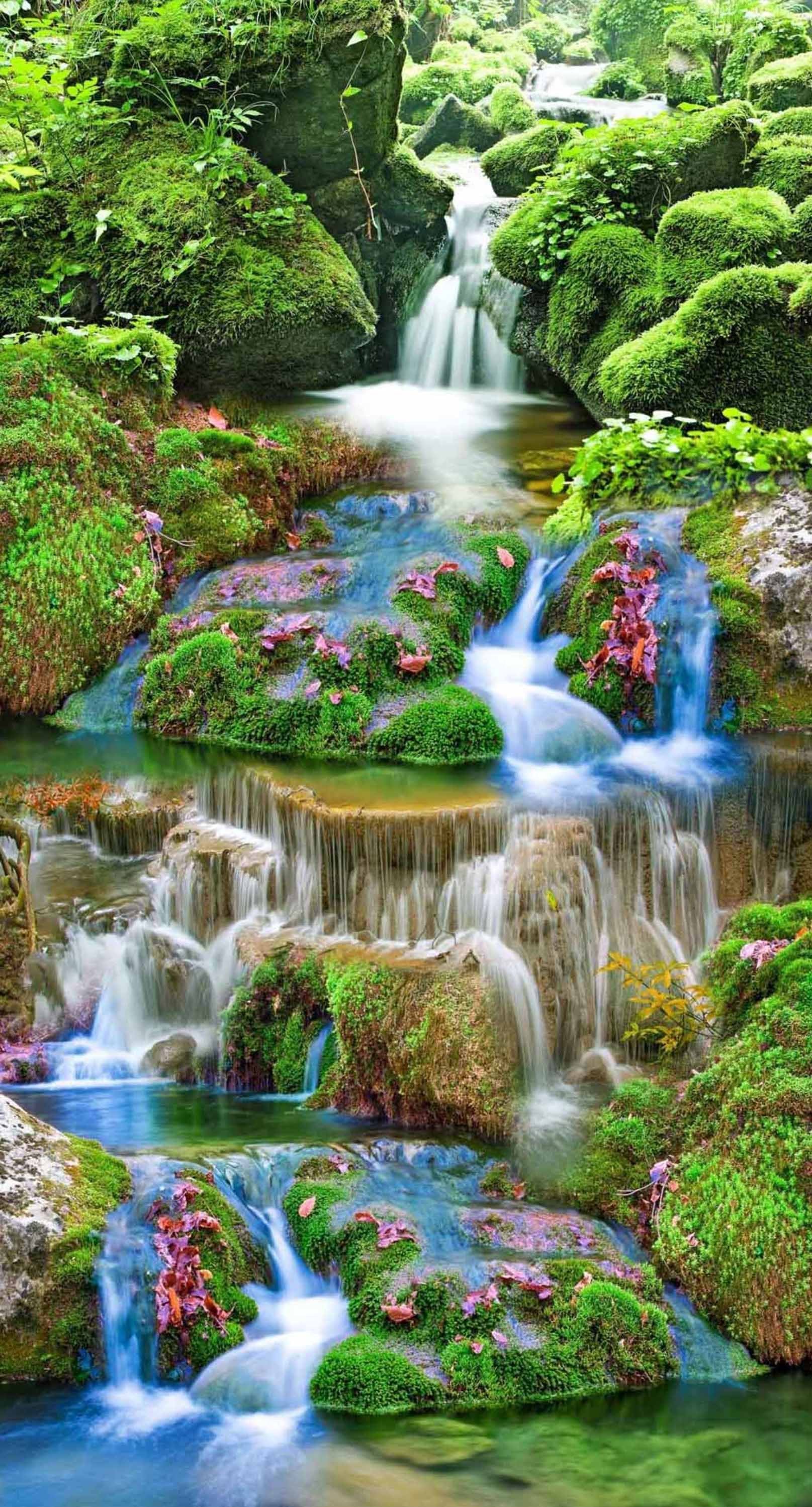 3D Stream Mosses 412 Stair Risers Wallpaper AJ Wallpaper