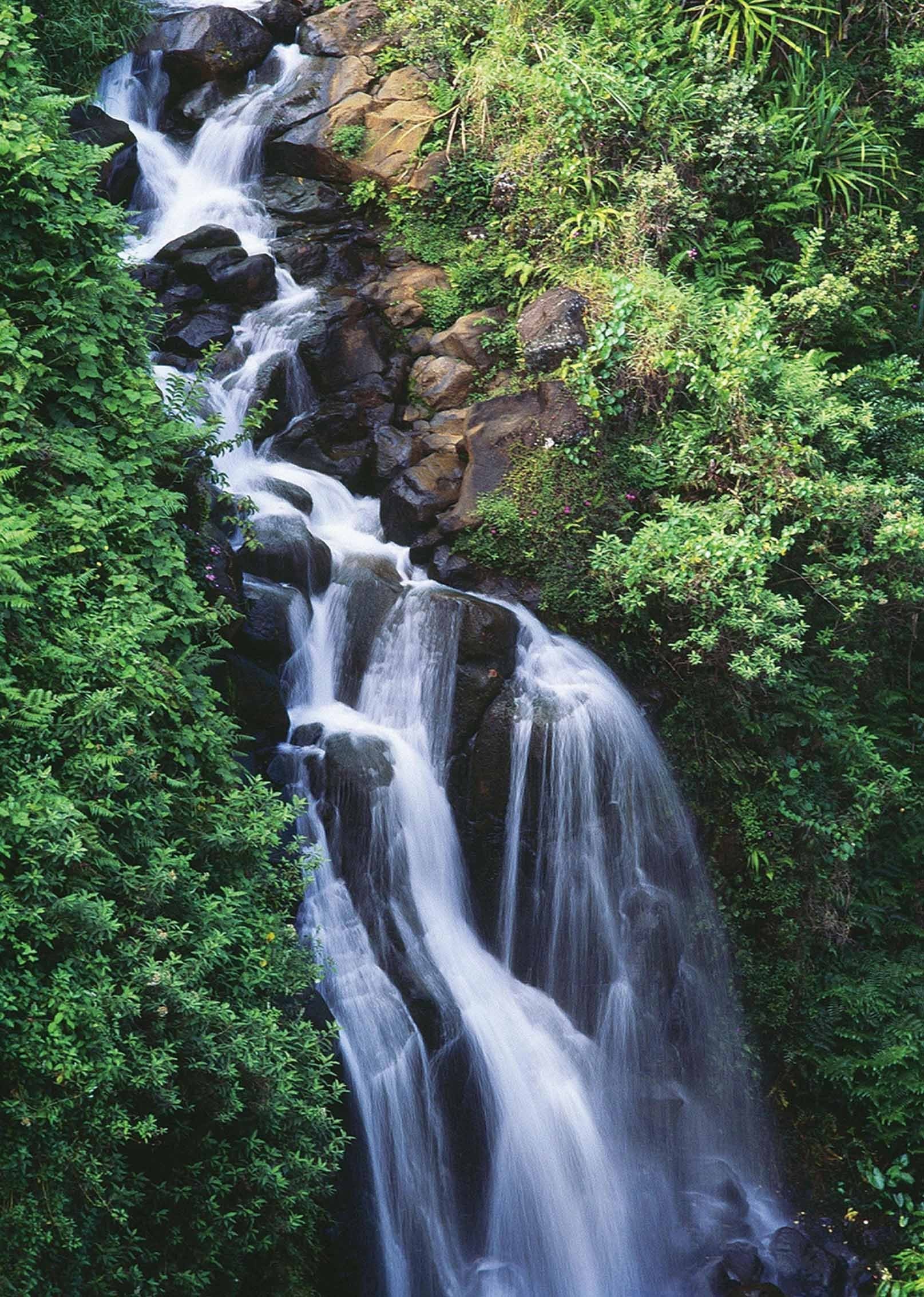 3D Pretty Creek 1609 Stair Risers Wallpaper AJ Wallpaper