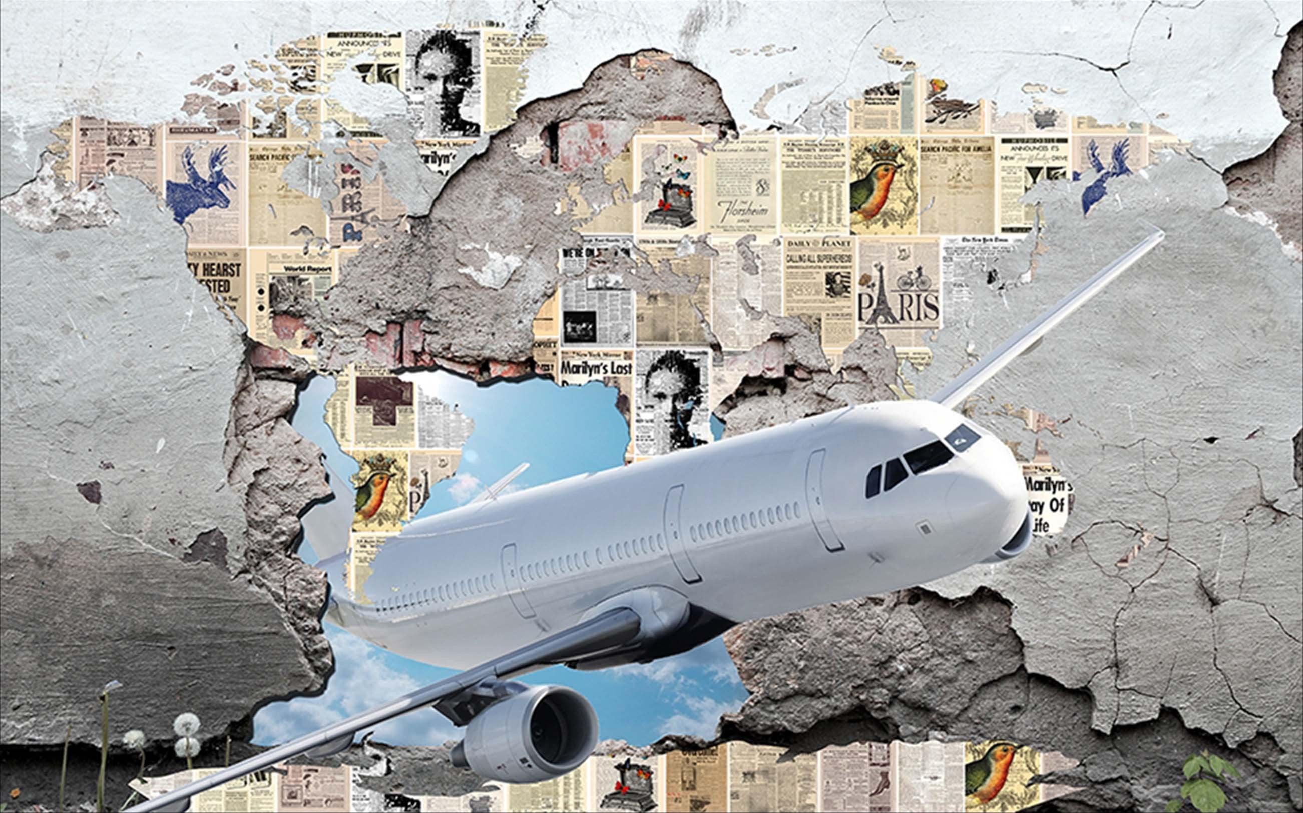 3D Aircraft Fly Through Wall 465 Garage Door Mural Wallpaper AJ Wallpaper