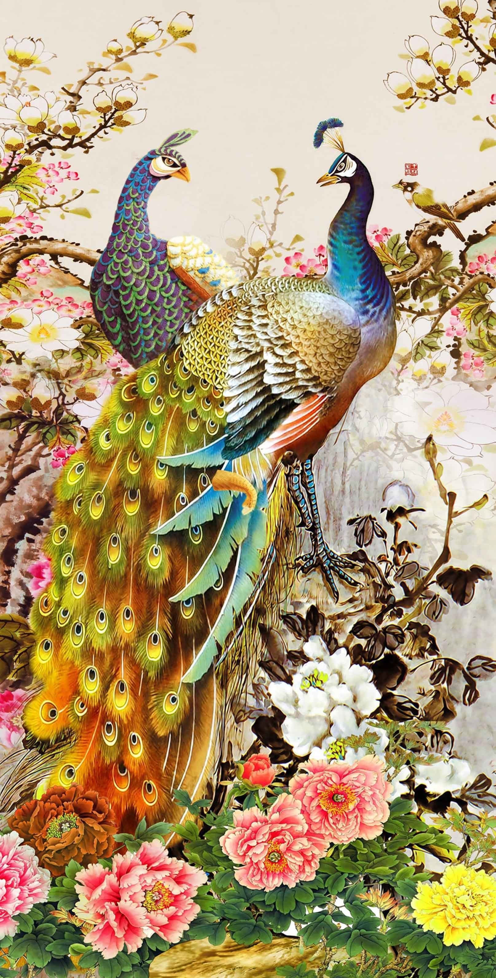 3D Showy Peacocks 1351 Stair Risers Wallpaper AJ Wallpaper