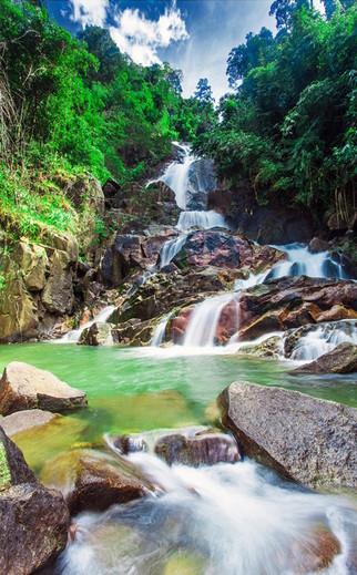 3D Forest Stony River 665 Stair Risers Wallpaper AJ Wallpaper
